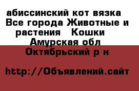 абиссинский кот вязка - Все города Животные и растения » Кошки   . Амурская обл.,Октябрьский р-н